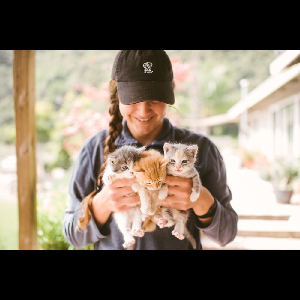 Meet your Posher, Hannah